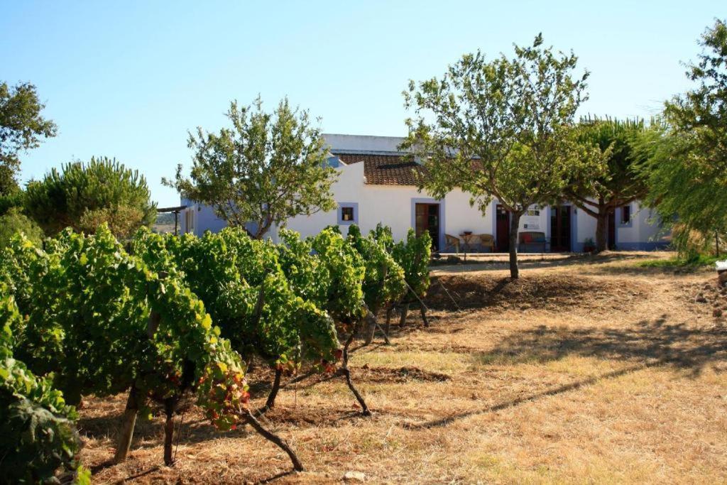 Casa Da Vinha - Eco Turismo Rural, Monte Da Casteleja - Wine Estate Apartahotel