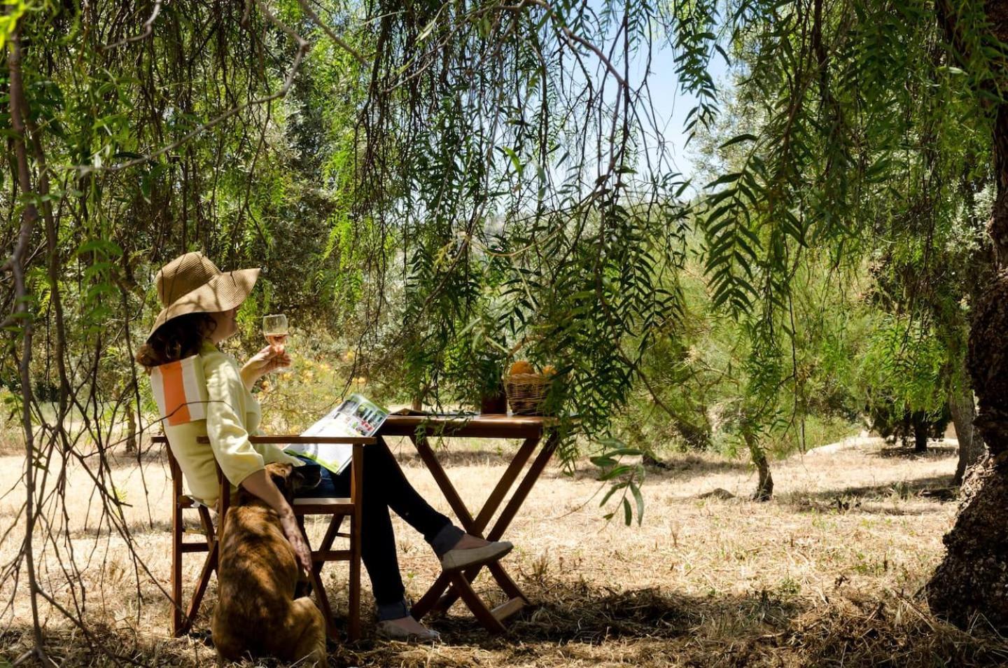 Casa Da Vinha - Eco Turismo Rural, Monte Da Casteleja - Wine Estate