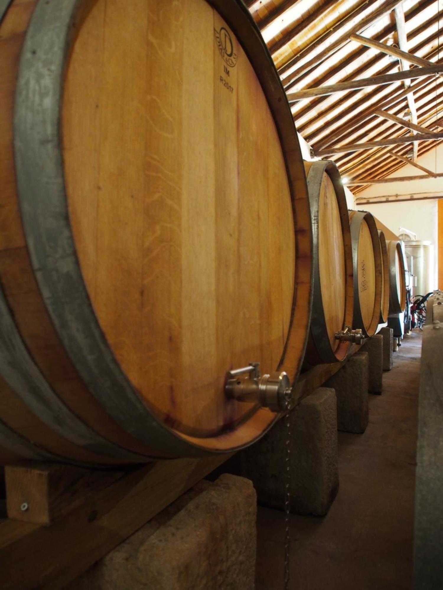 Casa Da Vinha - Eco Turismo Rural, Monte Da Casteleja - Wine Estate Apartahotel *