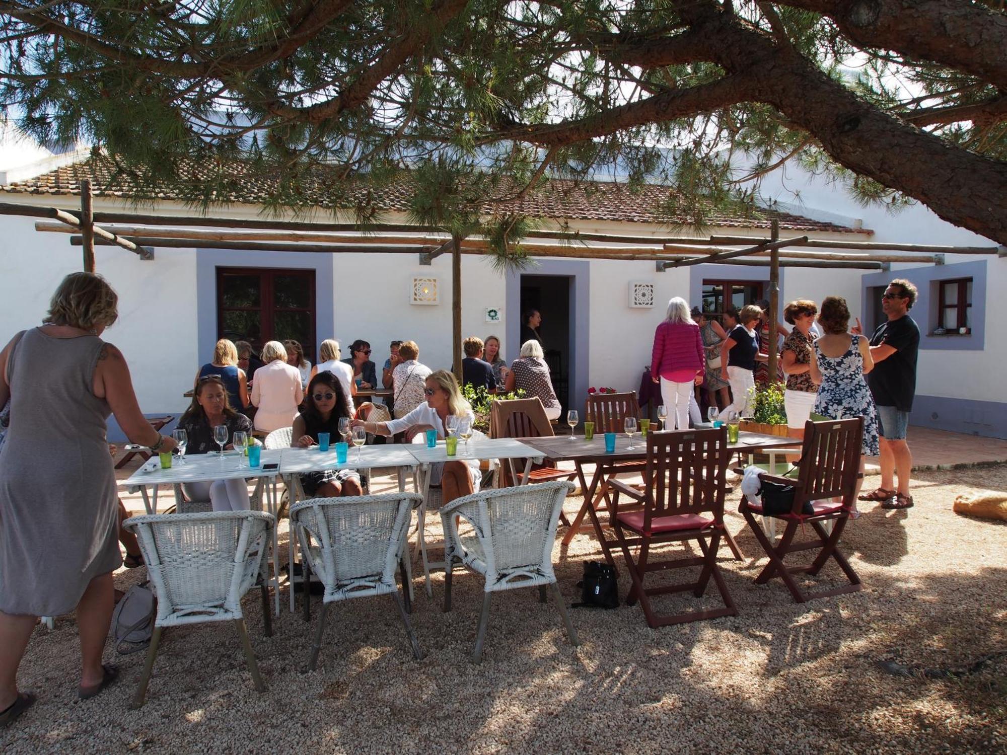 Casa Da Vinha - Eco Turismo Rural, Monte Da Casteleja - Wine Estate Apartahotel